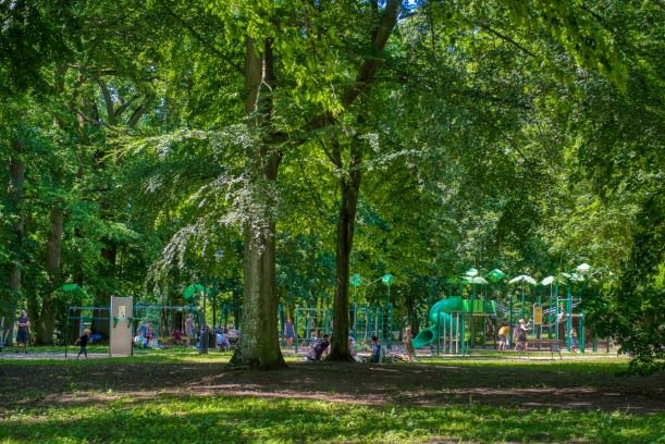 Park fot. T. Koryl